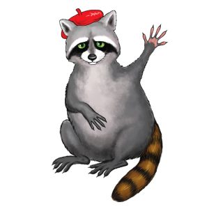 raccoon6