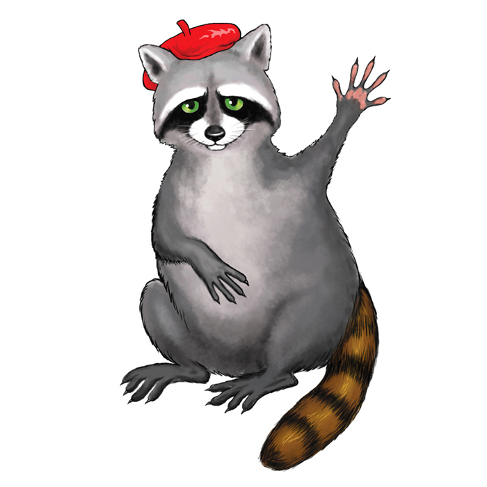 raccoon6
