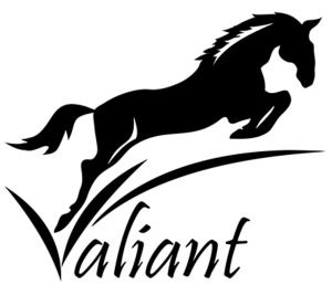 valiant logo
